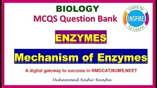 Mechanism of Enzyme Action MCQS| 
