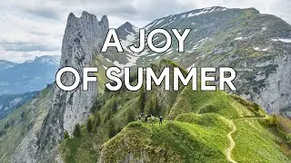 Joy of Summer