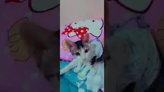 cute cute naman yang hanna ko na yan 😽🙀