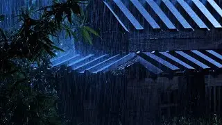 Goodbye Insomnia with Heavy Rain & Thunder Growls on a Stale Tin Roof in Foggy Murky Forest at Night