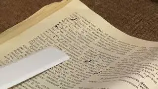 Мелитопольские голуби. Ваше мнение...