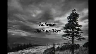 NoSense - Dintr-un Vers [Official 2021]