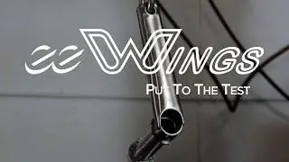 eeWings Put to the Test -  Trailer