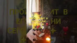 #тарогаданиялюбовь #тароотношения #таро #tarot #таросовет #таролог #гаданияналюбовь #гадание #таро