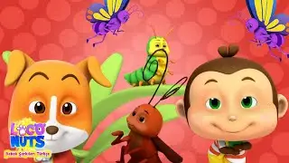 Böcek böcek şarkısı + Bebekler için şarkılar tarafından Loco Nuts