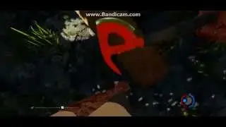The forest на слабом пк (gt 540м)