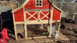 What to Look For In A Coop Kit For Backyard Chickens