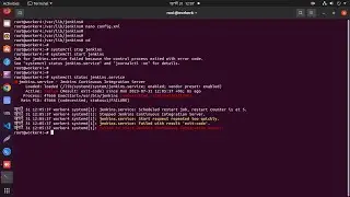 How to fix Failed to start jenkins continuous integration server in linux
