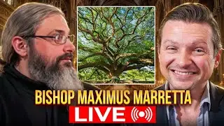 Bishop Maximus - Theology of Greek Orthodox, Contemplation, Trinity