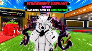 How to get every code that Sammy gives out