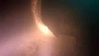 Отдых на природе и подводная охота.