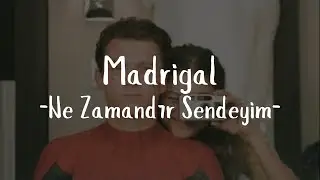 Madrigal- Ne Zamandır Sendeyim (Sözleri)