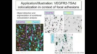 Conditional colocalization analysis of three-color microscopy images
