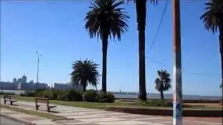 Riding With Dad In Uruguay