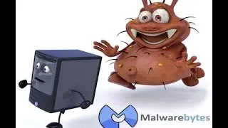 Как скачать, установить и настроить Malwarebytes Anti Malware