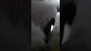 Ужасная погода в Челябинской области!