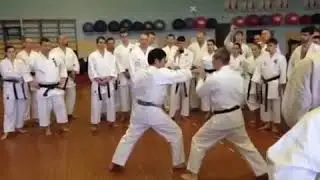 Murakami Manabu: kihon, kumite, kata.