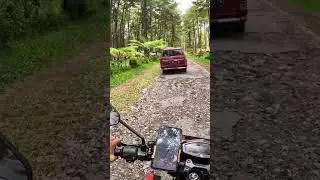 Tempat Camping enak di Blitar - Hutan Pinus Loji, Lokasi luas dan bisa camping dekat kendaraan.
