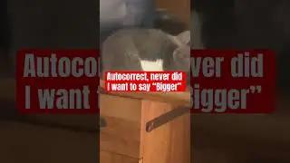 Bigger