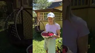 Делали такое? Ностальгия🥹 #shorts #рецепт #еда #обзор