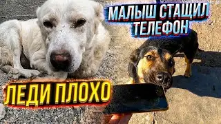 The kid stole the phone😱. The lady is depressed and coughing again 🥺. Review of searching moms an...