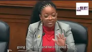 Rep. Jasmine Crockett tells Republican colleagues they are not 