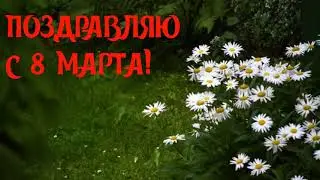 САМОЕ КРАСИВОЕ ПОЗДРАВЛЕНИЕ К 8 МАРТА
