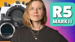 Canon R5 II Setting It Up // 200DL Ikelite Underwater Housing Assembly