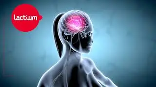 Lactium unique dairy bioactive for stress management