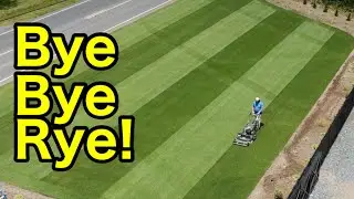 Bye Bye Rye Lawn Striping Challenge