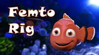 FemtoRig Breakdown