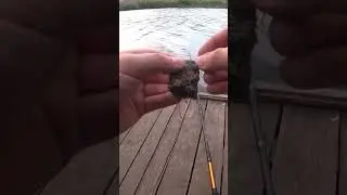 А каким пользуетесь вы? #карась #fishing #рыбалка #fishingequipment #макушатник