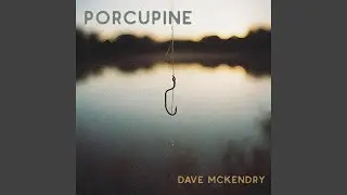 Porcupine