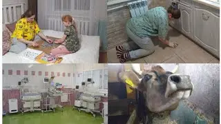 ПОСЛЕ ЭТОГО УЕХАЛА В РОДДОМ...🤰🐄🐓🐖🤗🧁