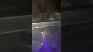 What jets are actually for