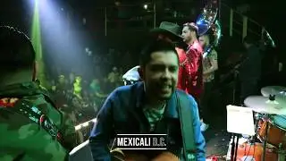 Mini Gira| Gracias Mexicali, Tijuana y San Luis Colorado - Revolver Cannabis