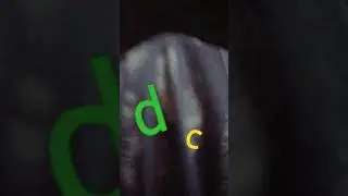 c and d