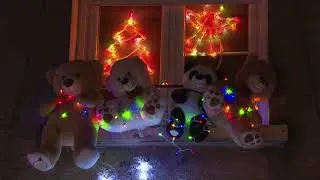 Passage du jury pour le concours communal des illuminations de Noël - 25 décembre 2023