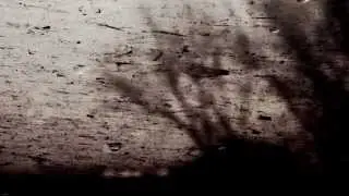 Boudewijn de Groot - Avond (Ik geloof in jou en mij)