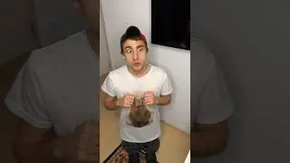 Старший и младший брат / кошкокрад 