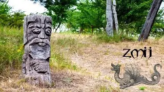 Zmij
