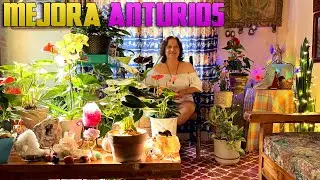 Para hojas de Anturio, mi Secreto Mejor Guardado