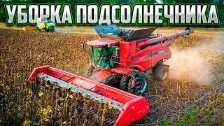 Modern Agriculture Machines Harvesters: Sunflower Harvest