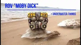 ROV  