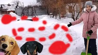 ЛАБИРИНТ из Снега для Собаки Тафи и для Собаки Вики | Лиза и питомцы