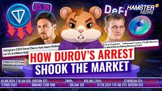 Durov’s €5m bail and ongoing investigation shakes TON, Buterin under fire ⚡️ Hamster News