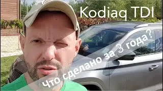 Kodiaq TDI 3 года, что сделано и переделано