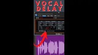 Beginner Vs. Advanced Vocal Delay