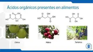 Análisis de ácido cítrico, tartárico y málico en jugos de frutas