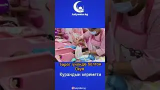 Төрөт үйдө болгон окуя
